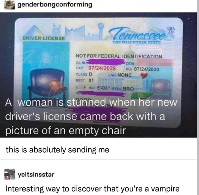 genderbongconforming DRIVER LICENSE Tennessee THE VOLUNTEER STATE NOT FOR FEDERAL IDENTIFICATION DL NO DOB EXP 07/24/2028 iss 07/24/2020 CLASS D END NONE USA TN REST 01 F HGT 5'-03" EYES BRO A woman is stunned when her new driver's license came back with a picture of an empty chair this is absolutely sending me yeltsinsstar Interesting way to discover that you're a vampire