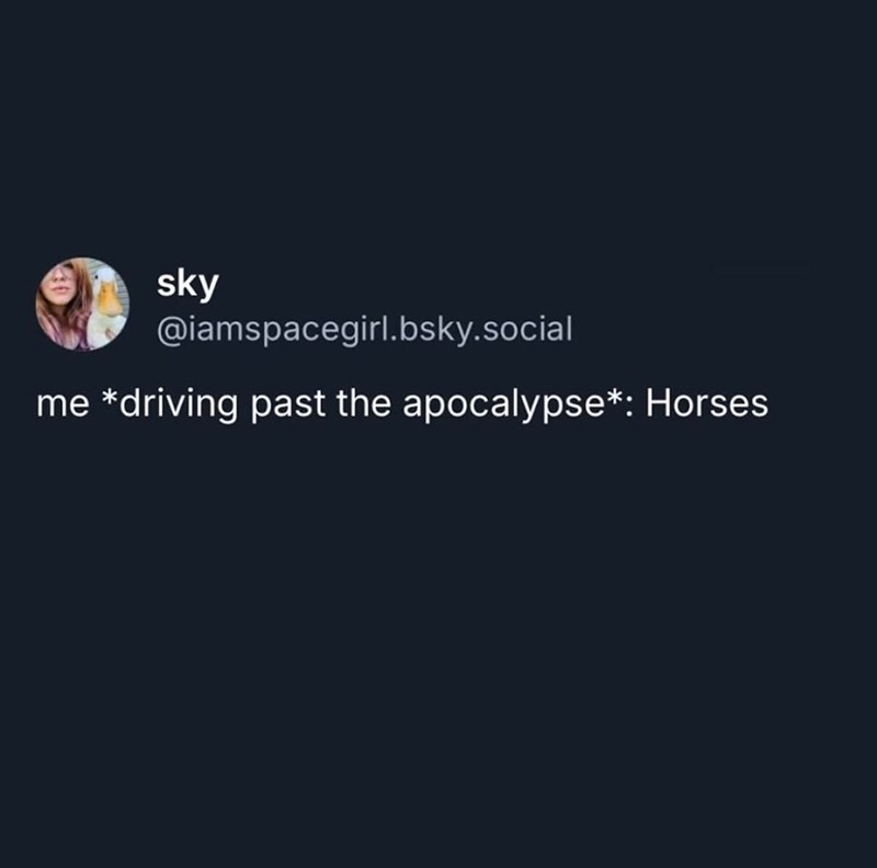 sky @iamspacegirl.bsky.social me *driving past the apocalypse*: Horses