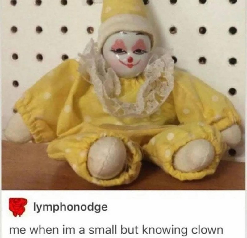 lymphonodge me when im a small but knowing clown