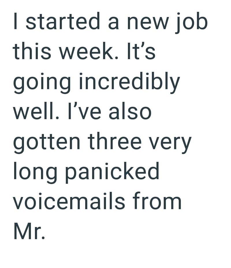 I started a new job this week. It's going incredibly well. I've also gotten three very long panicked voicemails from Mr.
