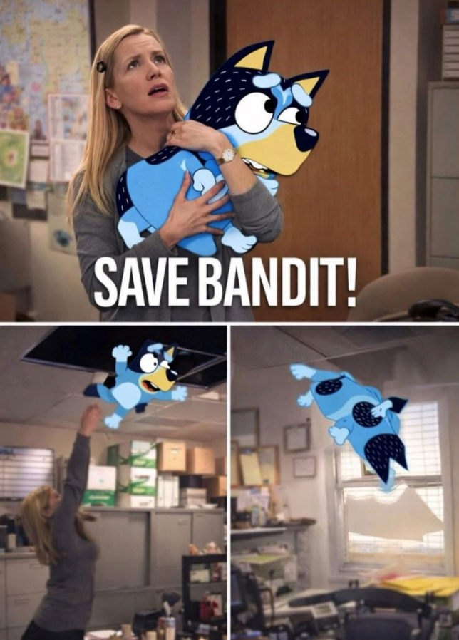 SAVE BANDIT!