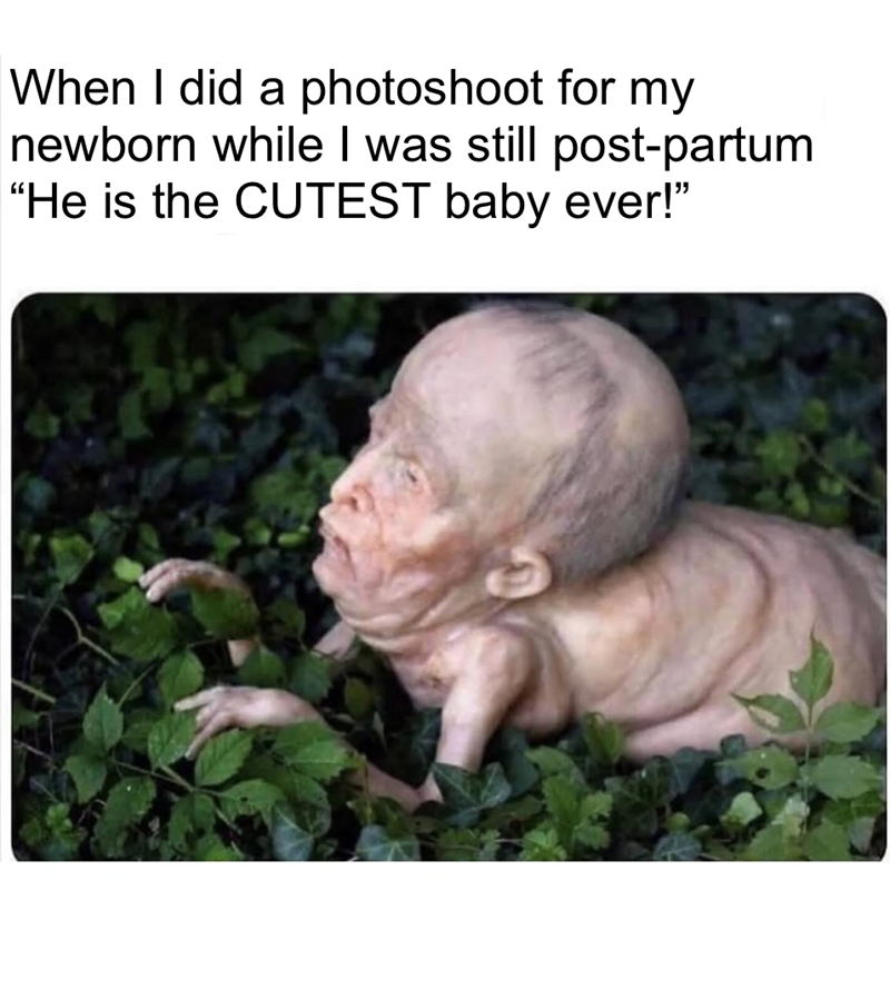 When I did a photoshoot for my newborn while I was still post-partum "He is the CUTEST baby ever!"
