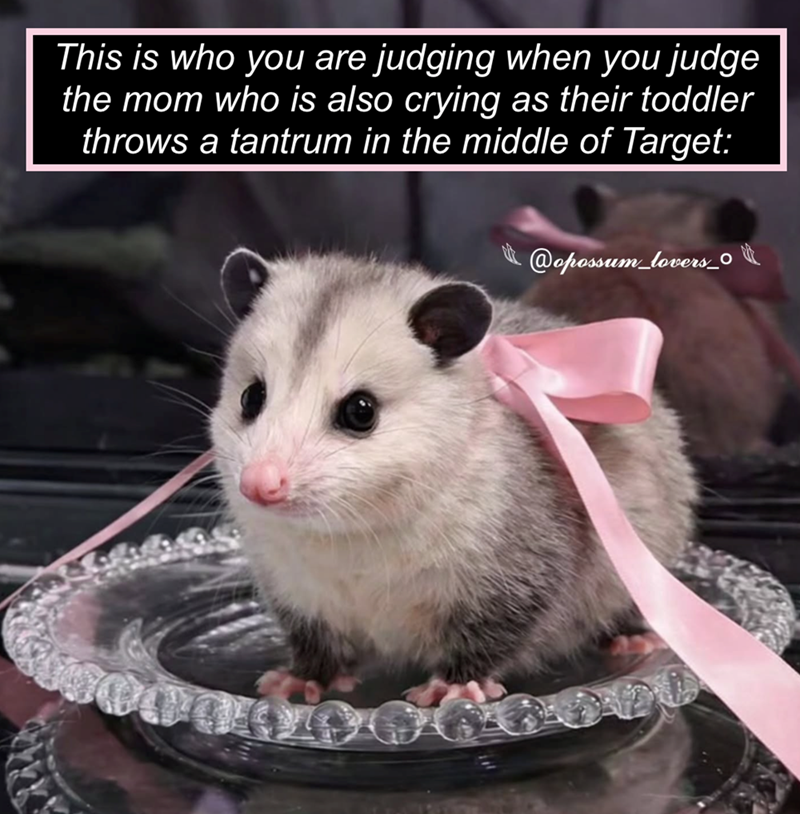 This is who you are judging when you judge the mom who is also crying as their toddler throws a tantrum in the middle of Target: @opossum_lovers_0