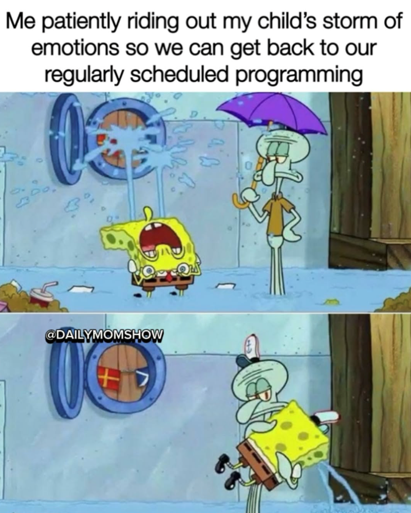 Me patiently riding out my child's storm of emotions so we can get back to our regularly scheduled programming @DAILYMOMSHOW