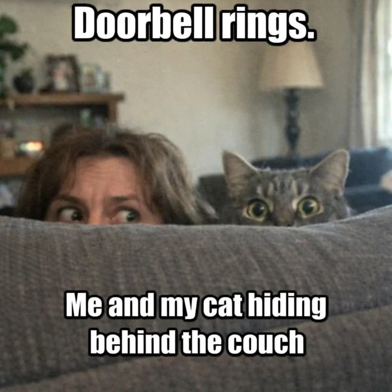 Doorbell rings. Me and my cat hiding behind the couch