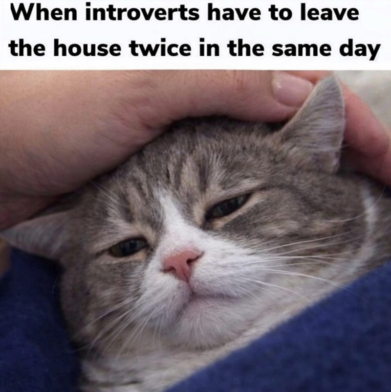 When introverts have to leave the house twice in the same day