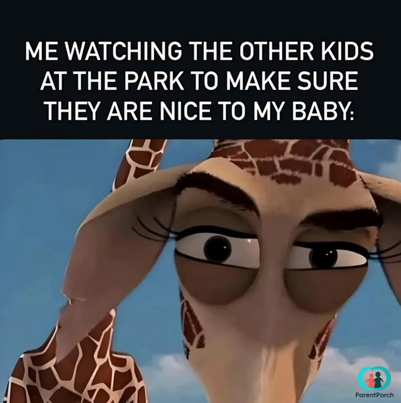 ME WATCHING THE OTHER KIDS AT THE PARK TO MAKE SURE THEY ARE NICE TO MY BABY: ParentPorch