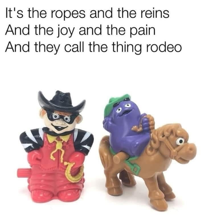 It's the ropes and the reins And the joy and the pain And they call the thing rodeo.