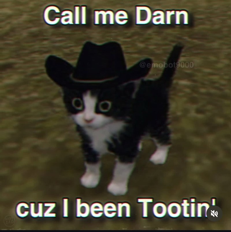 Call me Darn 00 @emobot9000 cuz I been Tootin