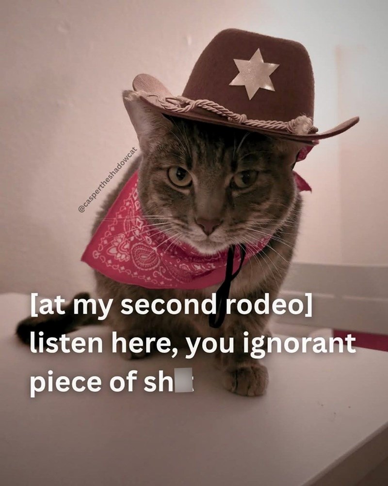 @caspertheshadowcat [at my second rodeo] listen here, you ignorant piece of sh