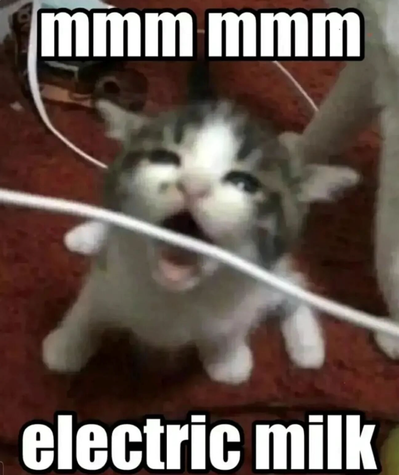 mmm mmm electric milk