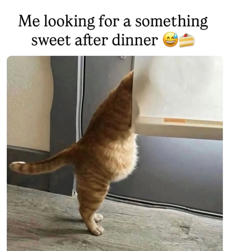 Me looking for a something sweet after dinner