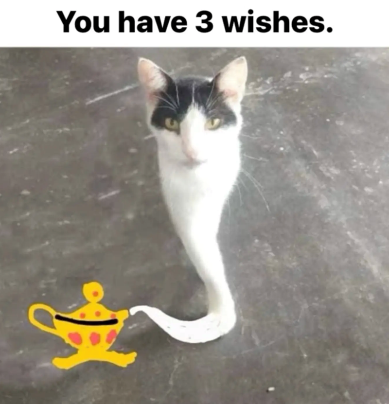 You have 3 wishes.