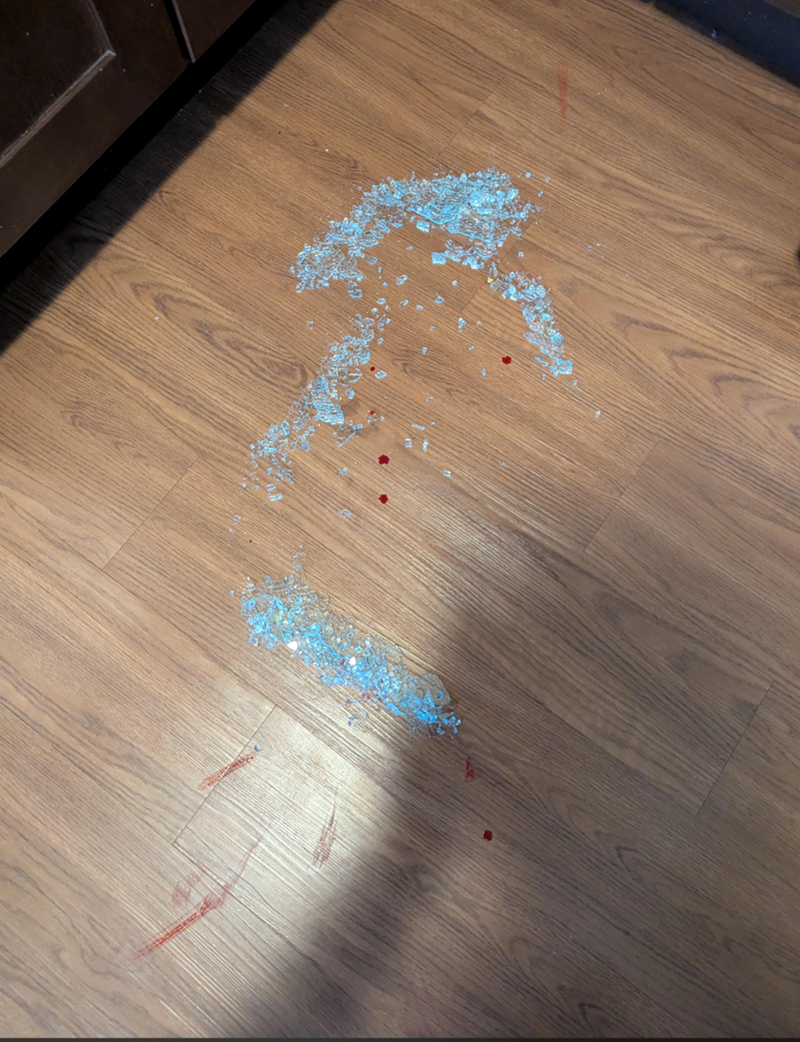 Cheezburger Image 10611803904