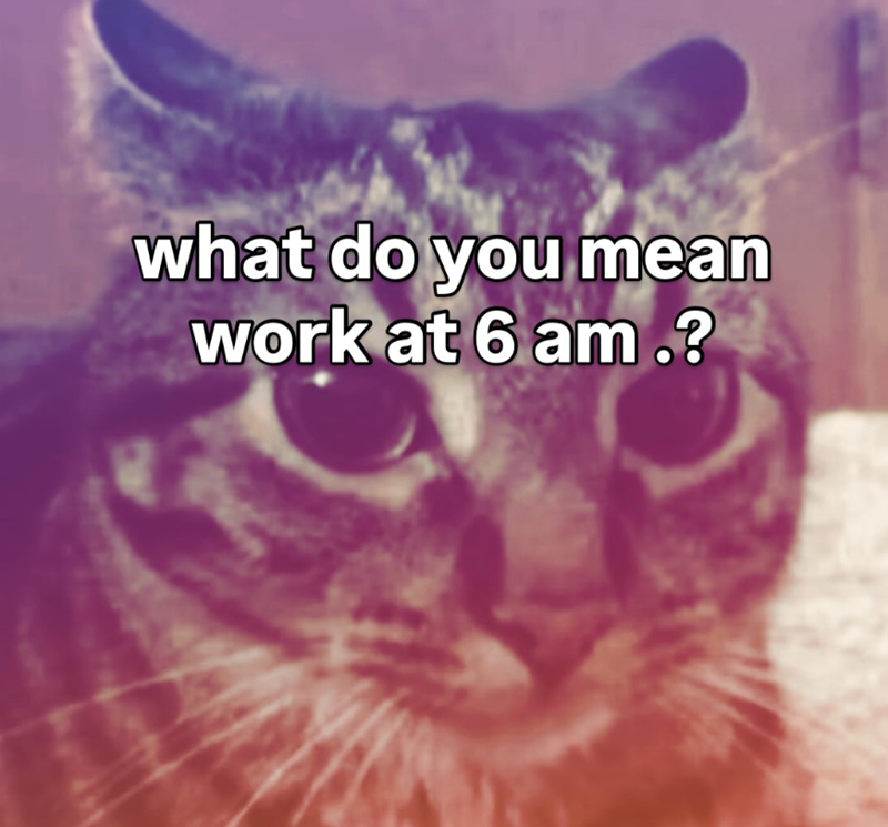 what do you mean work at 6 am.?