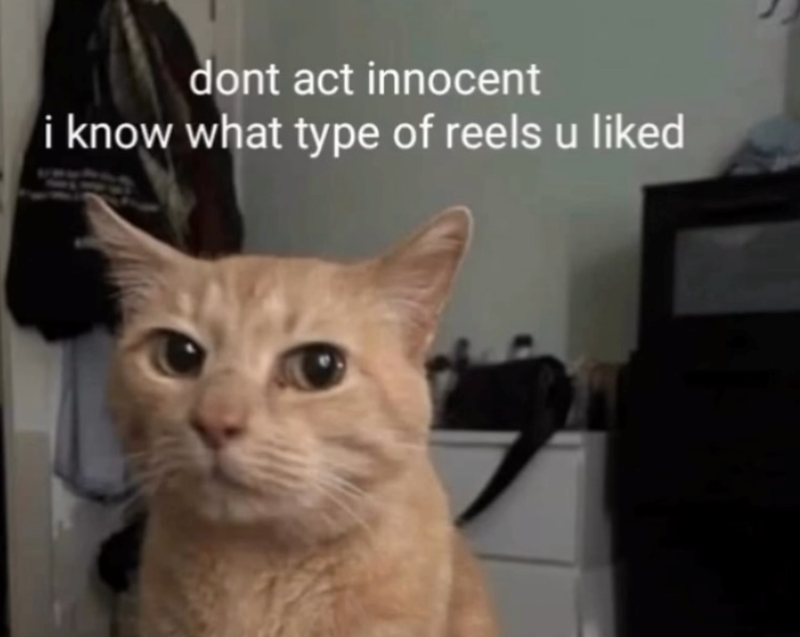 dont act innocent i know what type of reels u liked