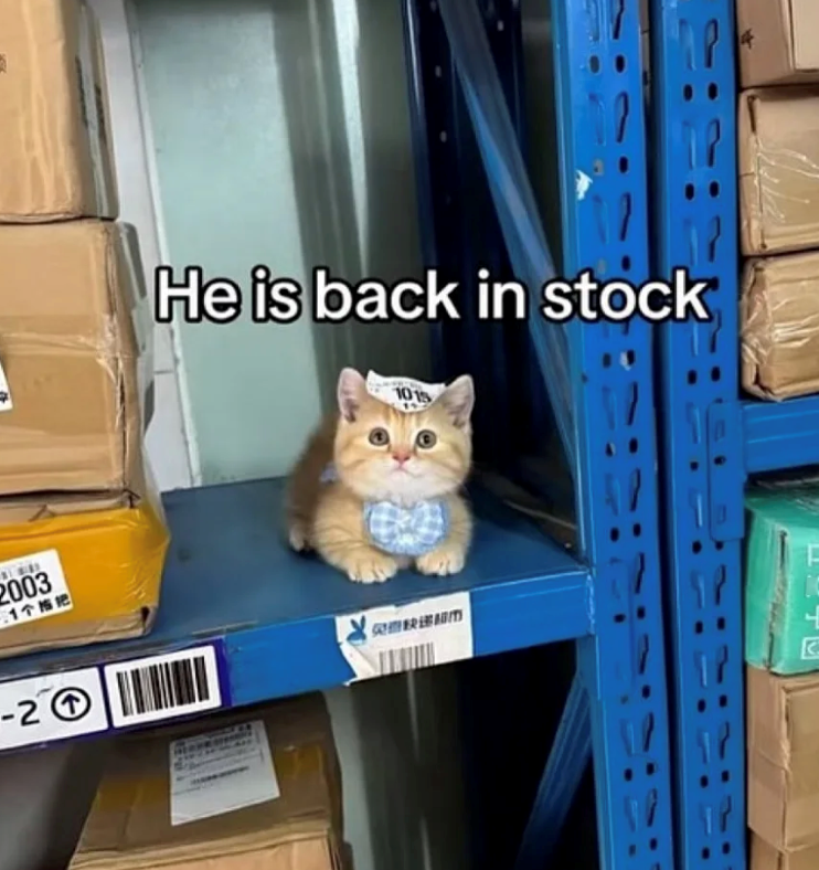 2003 □1个按把 -2⑦ He is back in stock 1015 HO 免费缺递銀 C