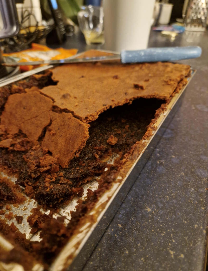 Cheezburger Image 10611805184