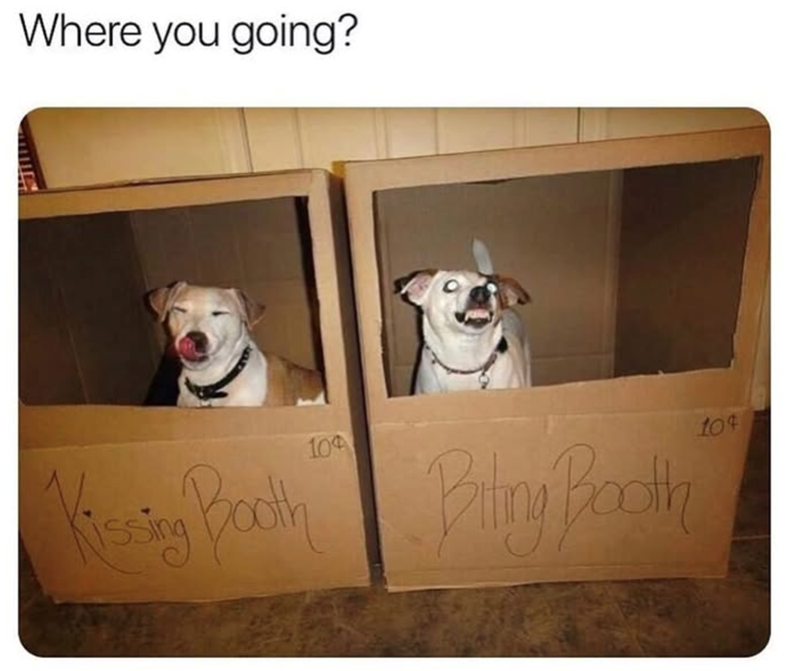 Where you going? 104 Kissing Booth Bitty Booth 104