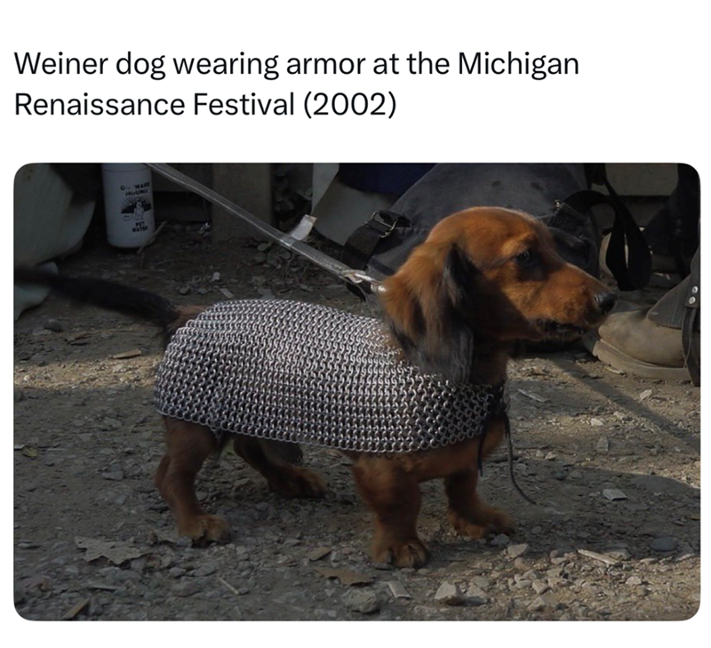 Weiner dog wearing armor at the Michigan Renaissance Festival (2002) 9. WARE HUUNG PET