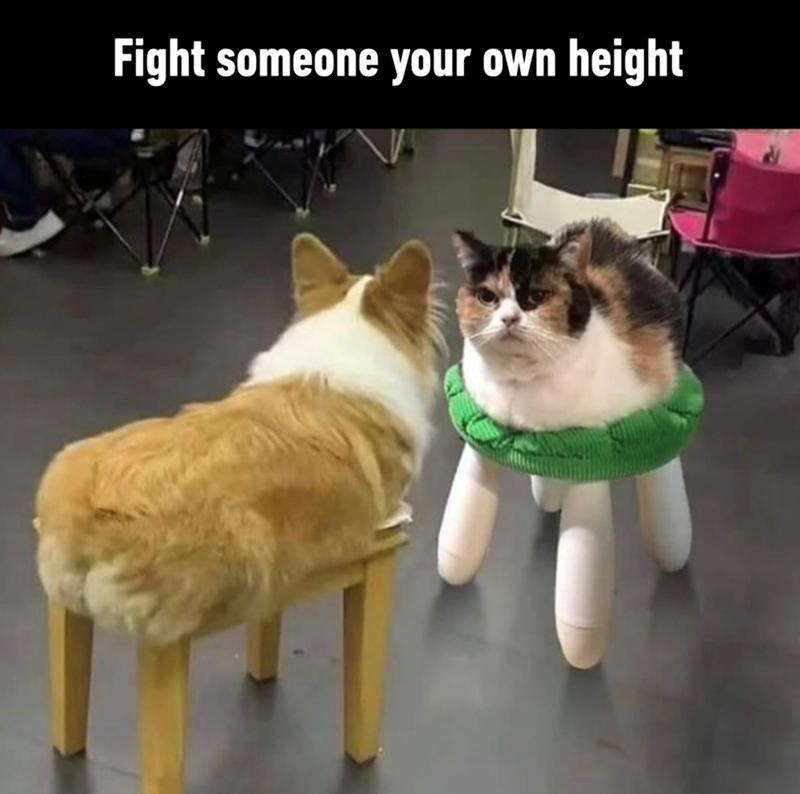 Fight someone your own height