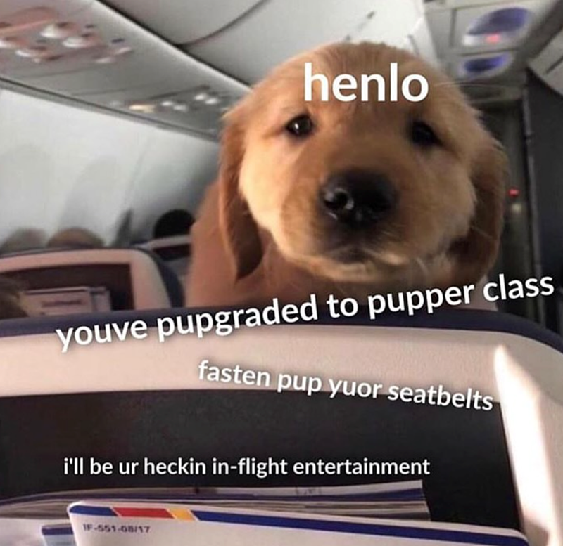henlo youve pupgraded to pupper class fasten pup yuor seatbelts i'll be ur heckin in-flight entertainment IF-551-08/17