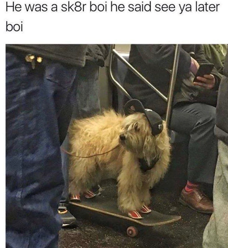 He was a sk8r boi he said see ya later boi