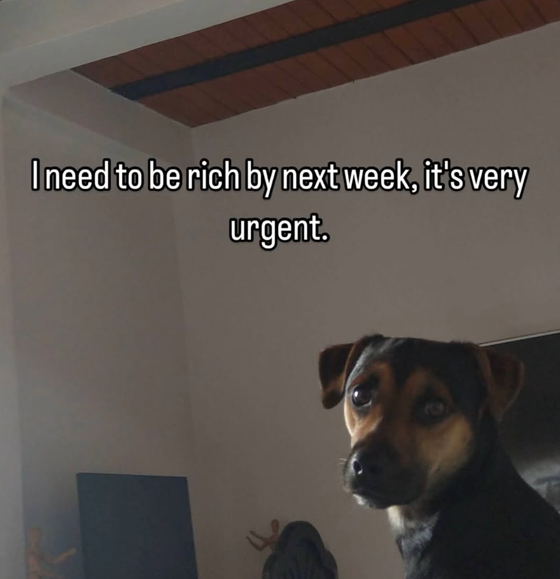 I need to be rich by next week, it's very urgent.