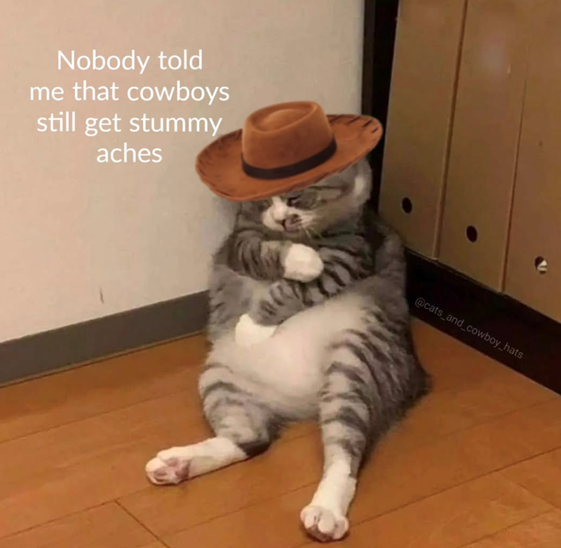 Nobody told me that cowboys still get stummy aches @cats_and_cowboy_hats