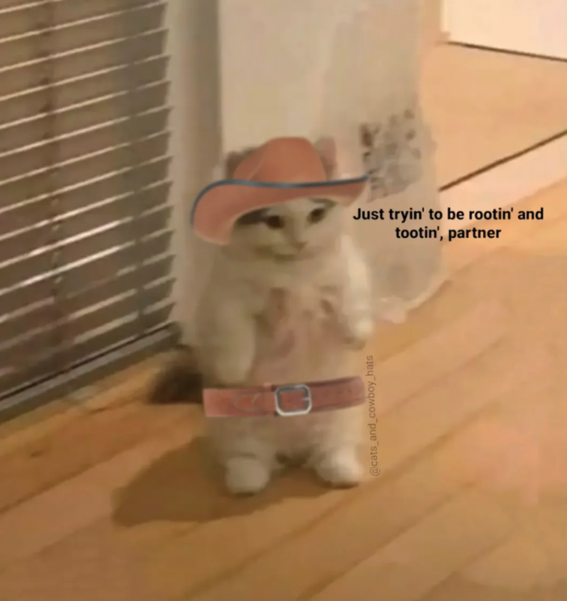 @cats_and_cowboy_hats Just tryin' to be rootin' and tootin', partner