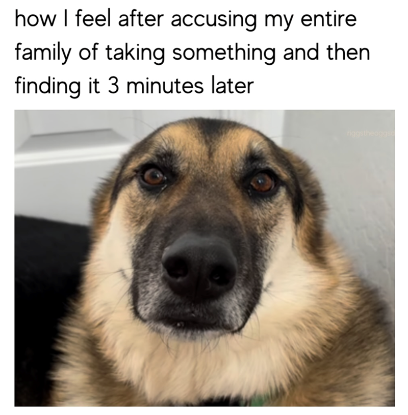 how I feel after accusing my entire family of taking something and then finding it 3 minutes later riggstheoggso