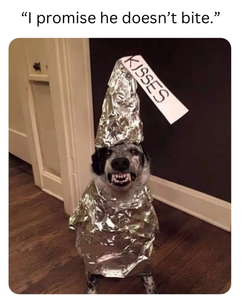 "I promise he doesn't bite." KISSES