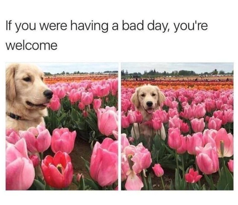 If you were having a bad day, you're welcome