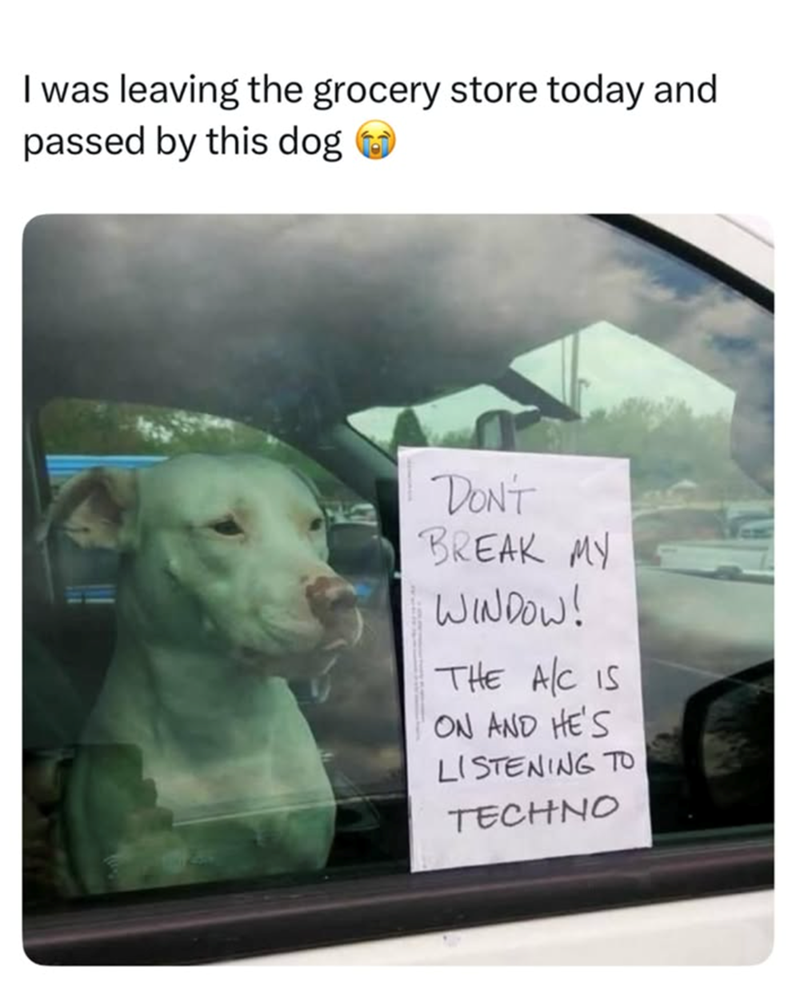 I was leaving the grocery store today and passed by this dog DON'T BREAK MY WINDOW! THE A/C IS ON AND HE'S LISTENING TO TECHNO