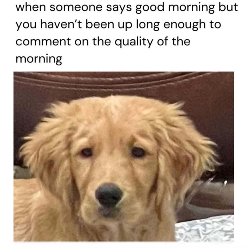 when someone says good morning but you haven't been up long enough to comment on the quality of the morning
