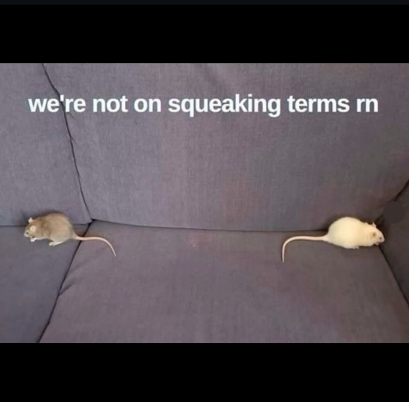 we're not on squeaking terms rn