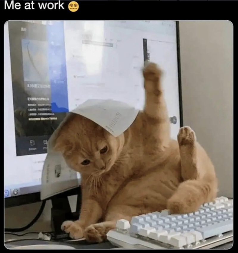 Me at work ple EXPROGTIES EV