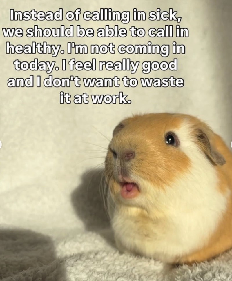 Instead of calling in sick, we should be able to call in healthy. I'm not coming in today. I feel really good and I don't want to waste it at work.