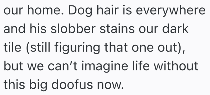 our home. Dog hair is everywhere and his slobber stains our dark tile (still figuring that one out), but we can't imagine life without this big doofus now.