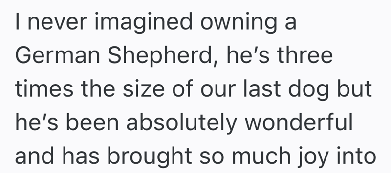I never imagined owning a German Shepherd, he's three times the size of our last dog but he's been absolutely wonderful and has brought so much joy into