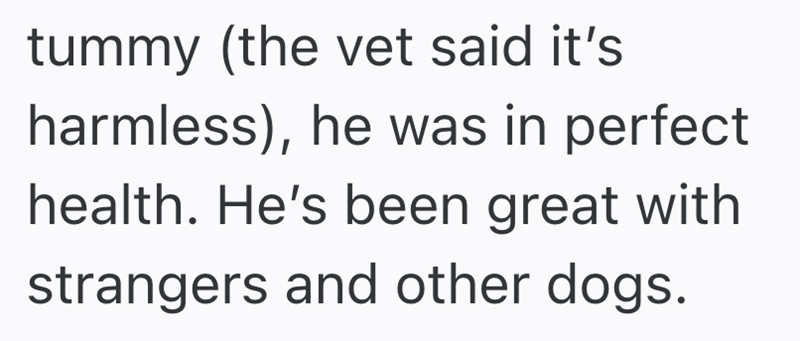 tummy (the vet said it's harmless), he was in perfect health. He's been great with strangers and other dogs.