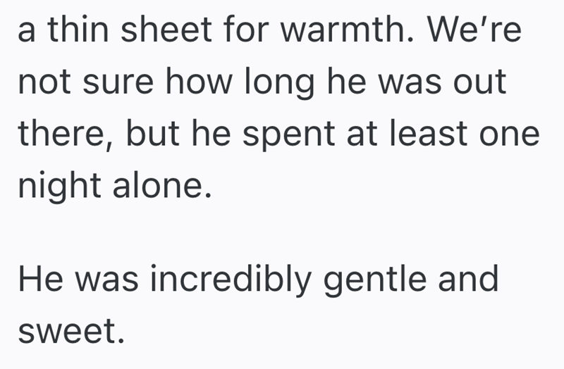 a thin sheet for warmth. We're not sure how long he was out there, but he spent at least one night alone. He was incredibly gentle and sweet.