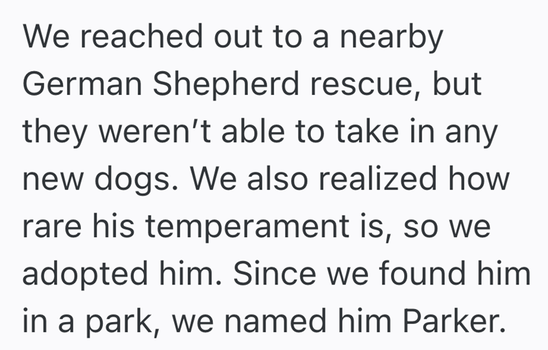 We reached out to a nearby German Shepherd rescue, but they weren't able to take in any new dogs. We also realized how rare his temperament is, so we adopted him. Since we found him in a park, we named him Parker.