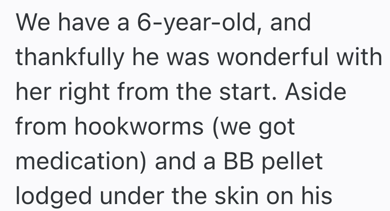 We have a 6-year-old, and thankfully he was wonderful with her right from the start. Aside from hookworms (we got medication) and a BB pellet lodged under the skin on his