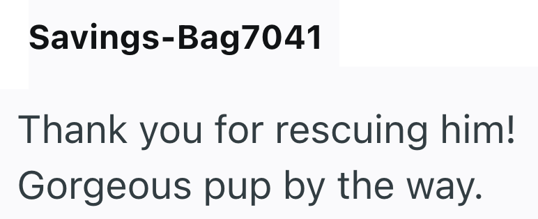 Savings-Bag7041 Thank you for rescuing him! Gorgeous pup by the way.
