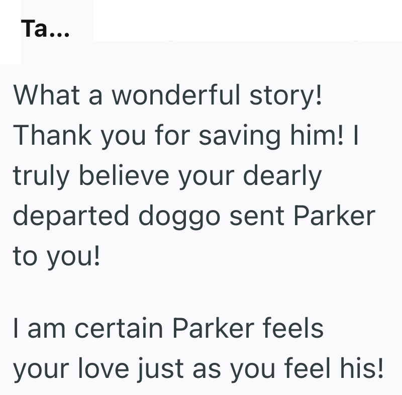 Ta... What a wonderful story! Thank you for saving him! I truly believe your dearly departed doggo sent Parker to you! I am certain Parker feels your love just as you feel his!