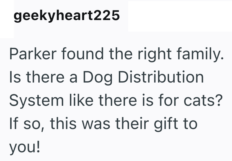 geekyheart225 Parker found the right family. Is there a Dog Distribution System like there is for cats? If so, this was their gift to you!