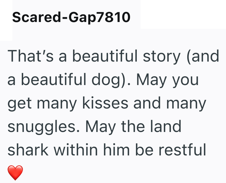 Scared-Gap7810 That's a beautiful story (and a beautiful dog). May you get many kisses and many snuggles. May the land shark within him be restful