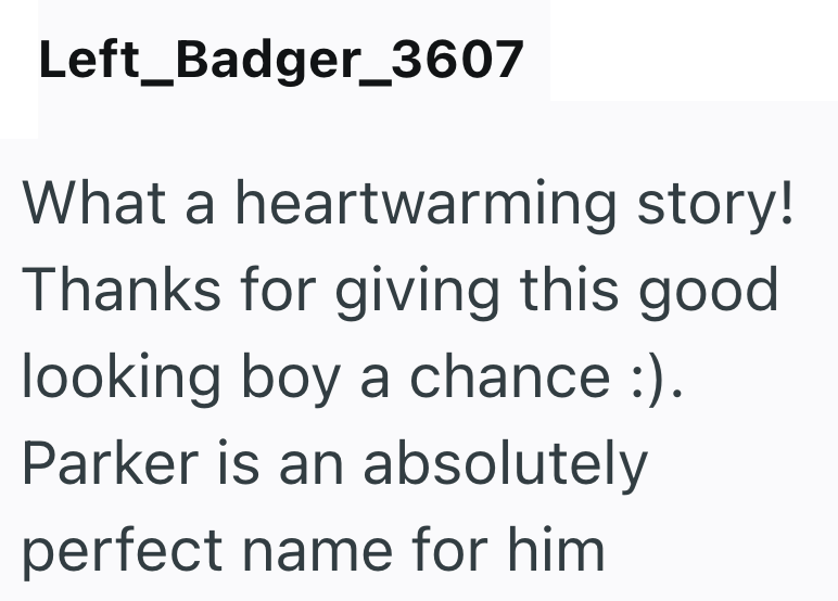 Left_Badger_3607 What a heartwarming story! Thanks for giving this good. looking boy a chance :). Parker is an absolutely perfect name for him
