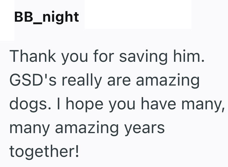 BB_night Thank you for saving him. GSD's really are amazing dogs. I hope you have many, many amazing years together!